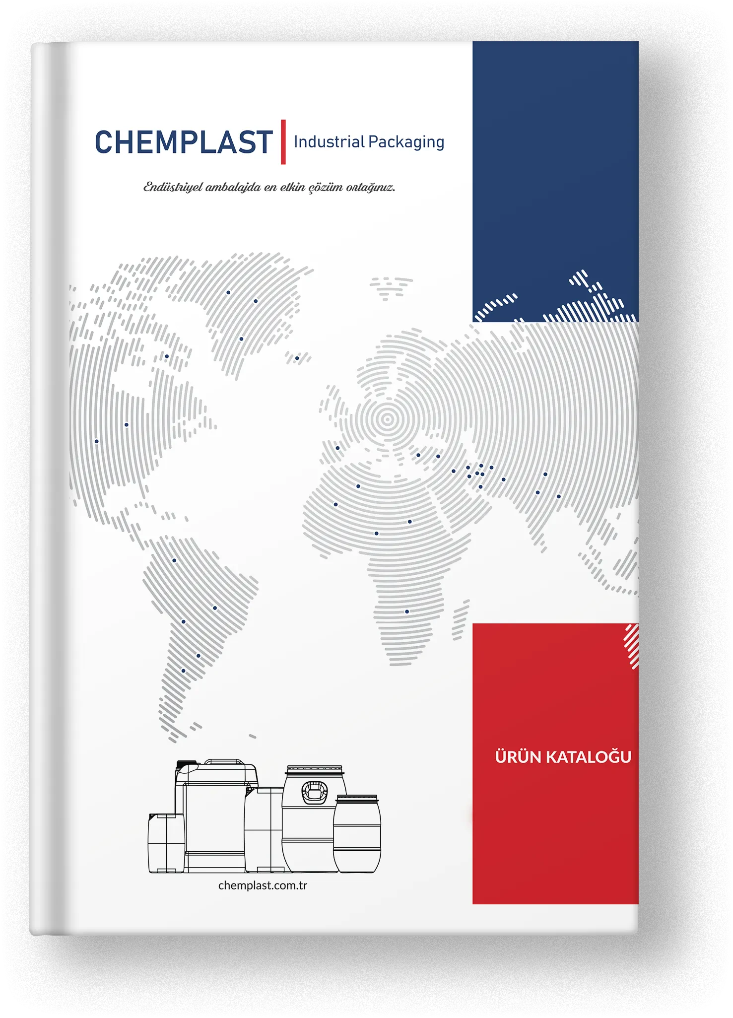 Annual Report 2024