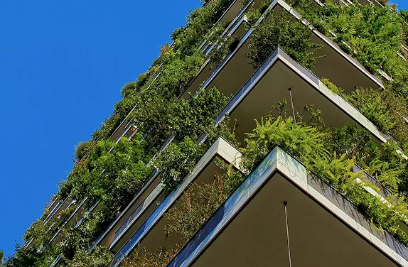 Environmental Stewardship
