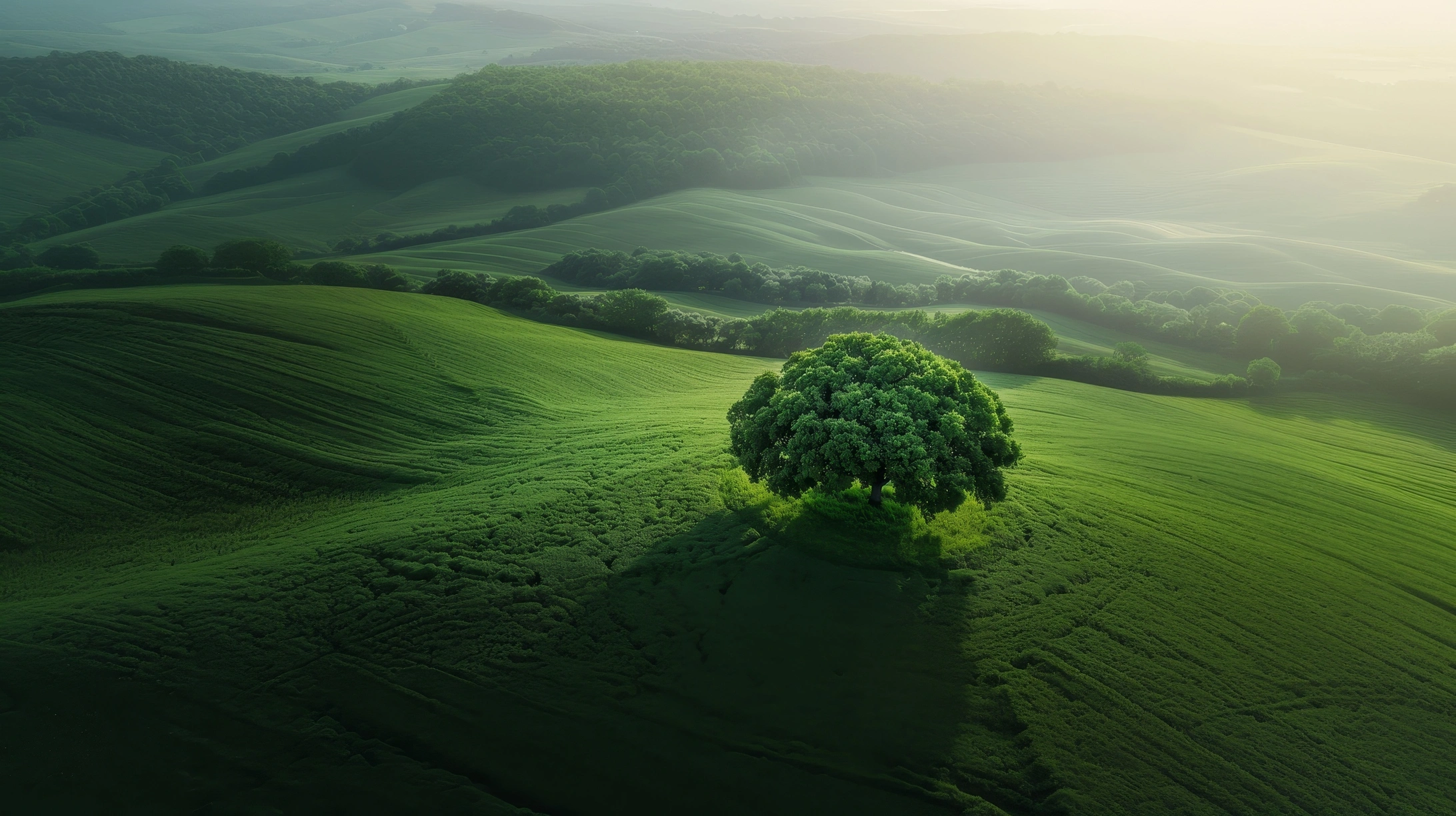 Sustainability